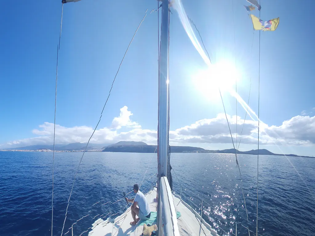 Dolphin Watching Atlantic Star Tenerife costa adeje