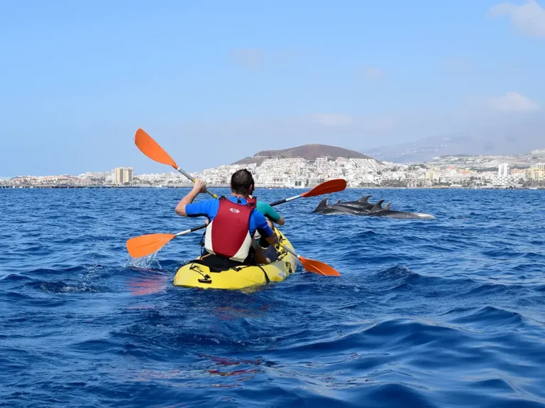 Kayaking With Dolphins Los Cristianos Tenerife