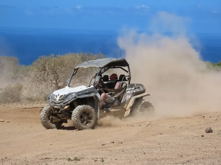 Off-Road Buggy Tour Costa Adeje