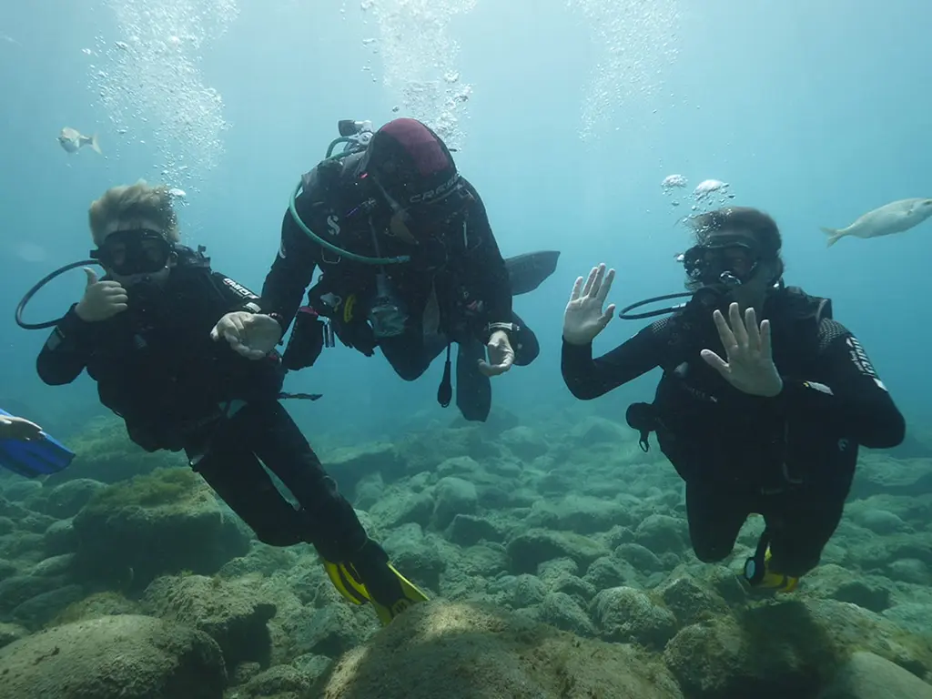 Tenerife Try Dive Experience