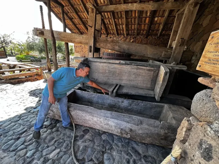 Traditional Wine Press Tenerife